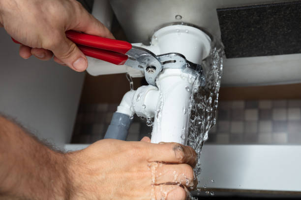 Best Water damage cleanup near me  in Morrice, MI
