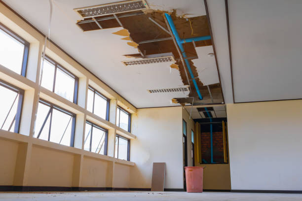 Best Sewage cleanup and water damage restoration  in Morrice, MI