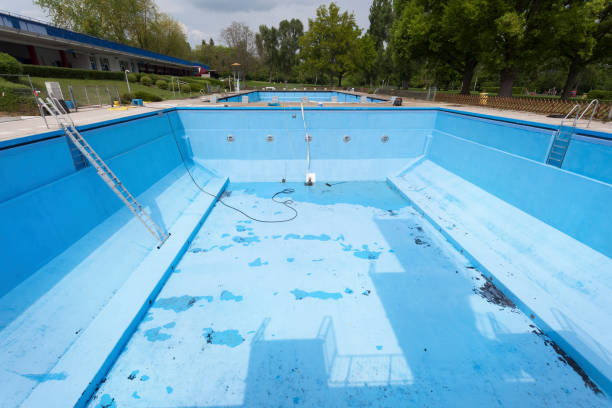 Best Basement water damage restoration  in Morrice, MI