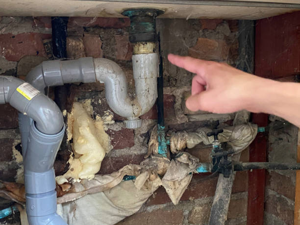 Best Ceiling water damage repair  in Morrice, MI