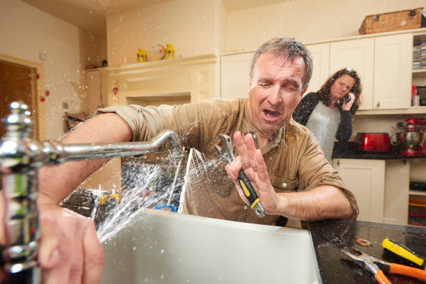 Best Water damage contractors near me  in Morrice, MI